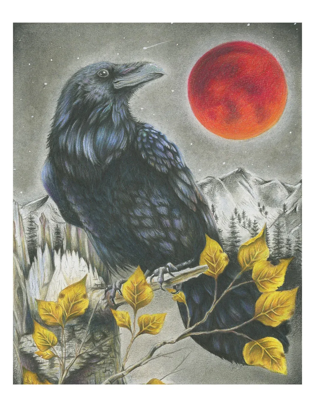 The Messenger